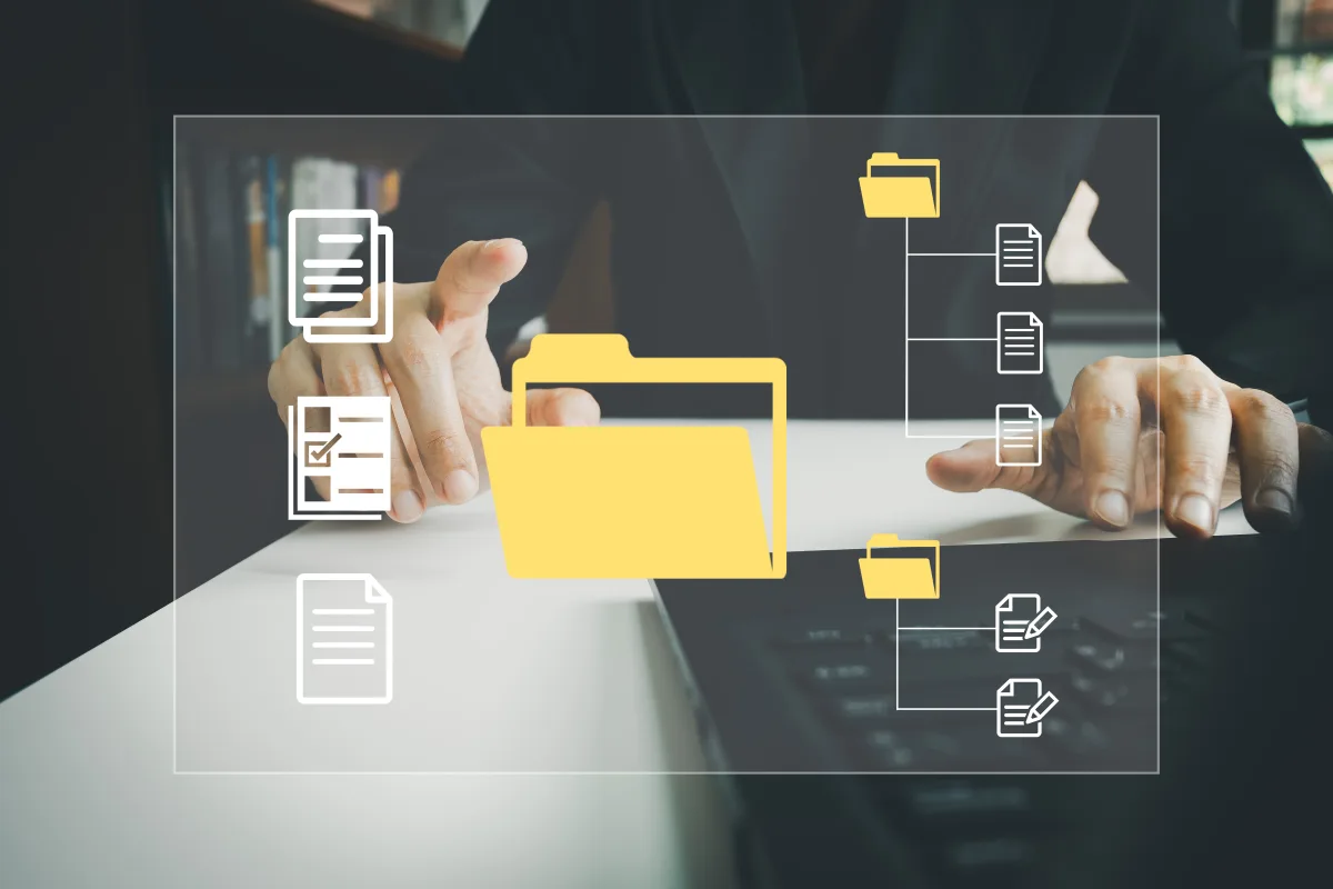 Cover Image for Export DUAE în format XML pentru SEAP: Ghid tehnic complet